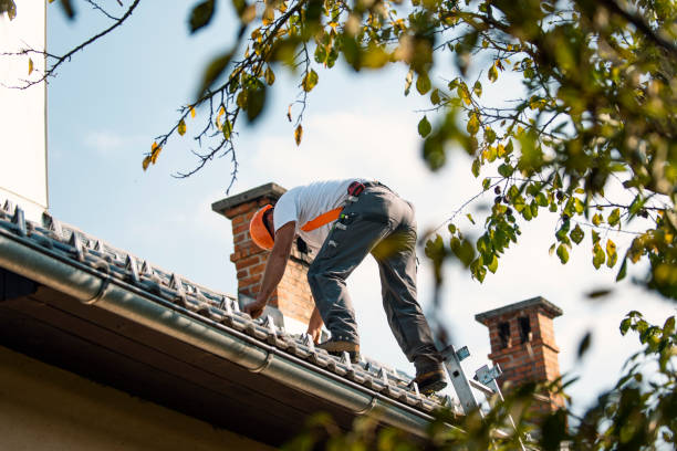 Quick and Trustworthy Emergency Roof Repair Services in Palestine, IL