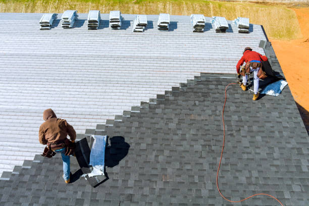 Best Roofing Contractor Near Me  in Palestine, IL