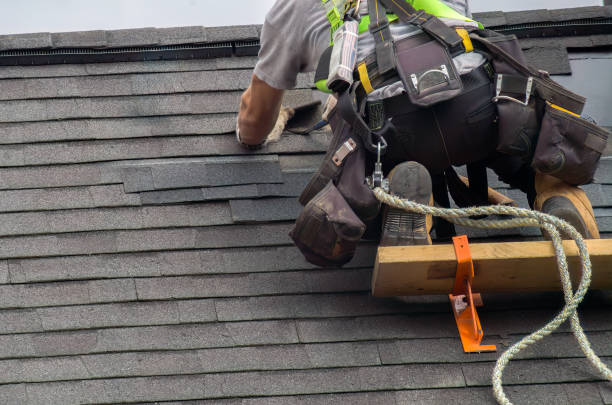 Best Commercial Roofing Services  in Palestine, IL