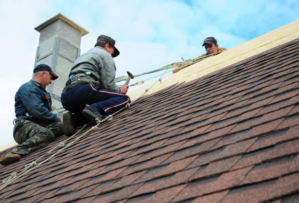 Quick and Trustworthy Emergency Roof Repair Services in Palestine, IL