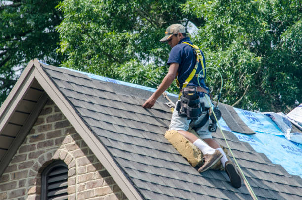 Best Roof Gutter Cleaning  in Palestine, IL